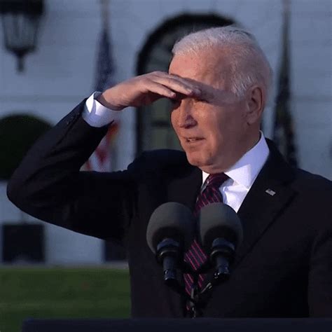 dvp gifs|Vice President GIFs